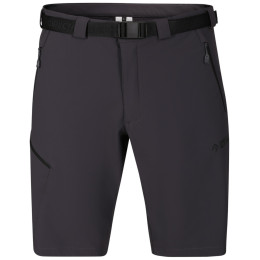 Pantalones cortos de hombre Direct Alpine Cruise Shorts 3.0 negro/gris anthracite