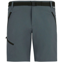 Pantalones cortos de hombre Regatta Xert Stretch Shorts gris Dark Storm