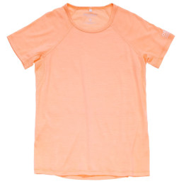 Camiseta de mujer Devold Endurance Merino 130 Tee Wmn rosa claro SUNRISE