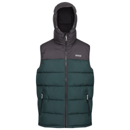 Chaleco de hombre Regatta Nevado B/W verde/gris DkGry/GrnGab