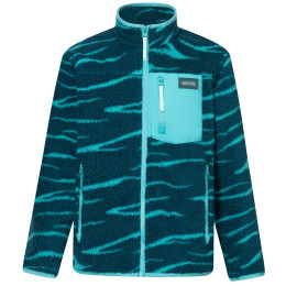 Sudadera funcional para niños Regatta Junior Frankie Warm Fleece Mediterranea Zebra verde Mediterranea Zebra