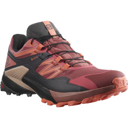 Calzado de mujer Salomon Wings Sky Gore-Tex rojo AppleButter