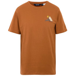 Camiseta de hombre Regatta Cline IX
