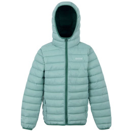 Chaqueta para niños Regatta Junior Hooded Marizion