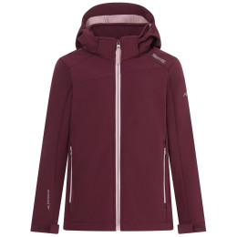 Chaqueta softshell para niños Regatta Haydenbury Fig violeta Fig Powder Lilac