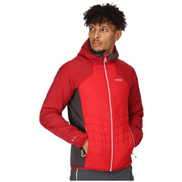 Chaqueta de hombre Regatta Trutton rojo ChinRed/DkRd