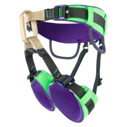 Arnés para niños Beal Neo Kid verde GREEN
