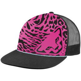 Gorra Dynafit Graphic Trucker Cap