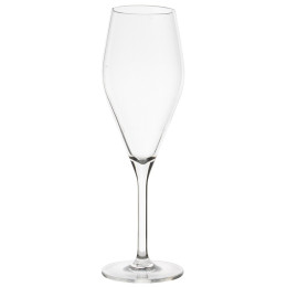 Juego de vasos Gimex ROY Champagne glass