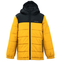 Chaqueta de invierno para niños Regatta Lofthouse Black/Mustard
