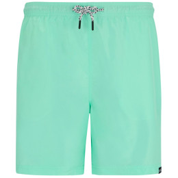Pantalones cortos de hombre Regatta Mackleyna Swim Short
