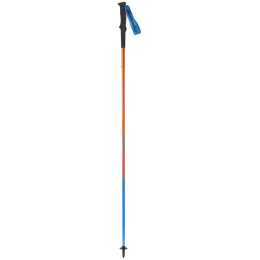 Bastones Dynafit Vertical Pole azul general Lee / methyl blue