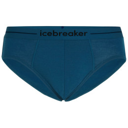 Calzoncillos de hombre Icebreaker Mens Anatomica Briefs