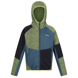 Sudadera para niños Regatta Dissolver VIII verde/azul PiqGrn/MorBl