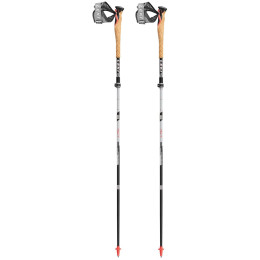 Bastones Leki MCT 12 Vario Carbon