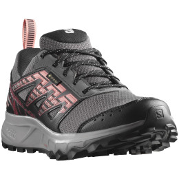 Zapatillas de carrera para mujer Salomon Wander Gore-Tex gris Plum Kitten / Black / Peach Amber