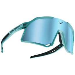 Gafas de sol Dynafit Trail Evo Sunglasses turquesa 8050 - marine blue/blueberry