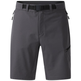 Pantalones cortos de hombre Dare 2b Tuned In Pro II Short gris Magnet