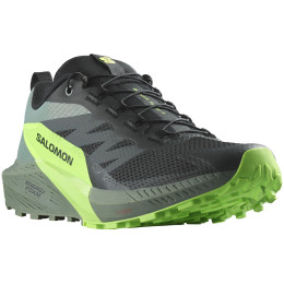 Zapatillas de carrera para hombre Salomon Sense Ride 5 negro/verde Black