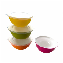 Juego de boles Omada Sanaliving Bowls Set 4x 0,5L mix1