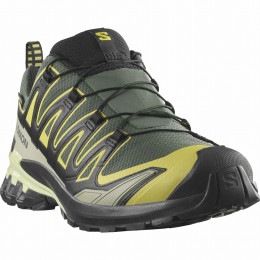 Calzado de senderismo para hombre Salomon Xa Pro 3D V9 Gore-Tex