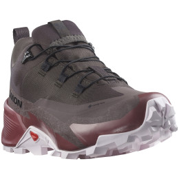 Calzado de senderismo para mujer Salomon Cross Hike 2 Gore-Tex marrón Shale / Wild Ginger / Cradle Pink