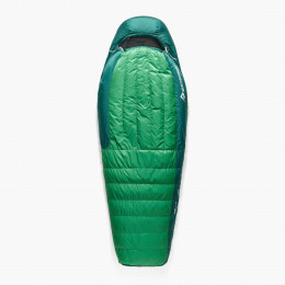 Saco de dormir de plumón Sea to Summit Ascent -1C Regular verde Rain Forest Green