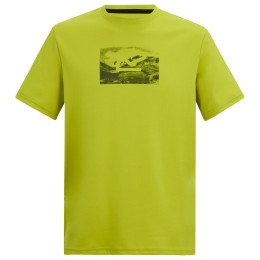 Camiseta de hombre Regatta Fingal verde DARK TANG