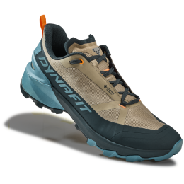 Calzado de hombre Dynafit Transalper 2 Gtx