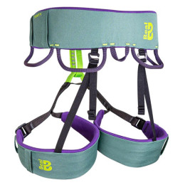 Arnés Beal Trinity verde Green