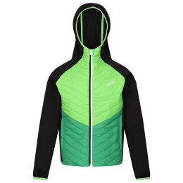 Chaqueta para niños Regatta Kielder HybridVII negro Black/Jasmine Green