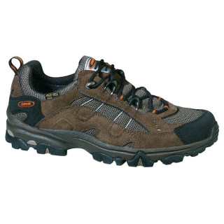 Calzado de hombre Meindl Magic Men 2.0 GTX marrón Brown/Orange