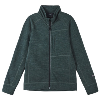 Sudadera para niños Reima Mahti verde Thyme Green