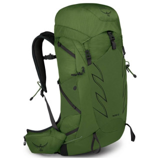 Mochila de senderismo Osprey Talon 33 negro/verde green belt/black