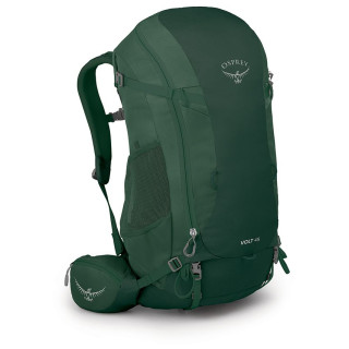 Mochila de senderismo Osprey Volt 45 verde axo green