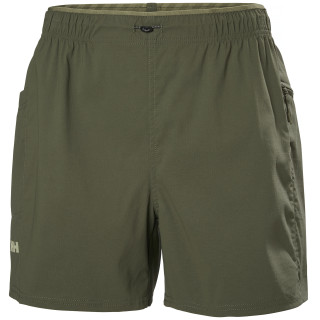 Pantalones cortos de mujer Helly Hansen W Vista Hike Shorts verde UTILITY GREEN