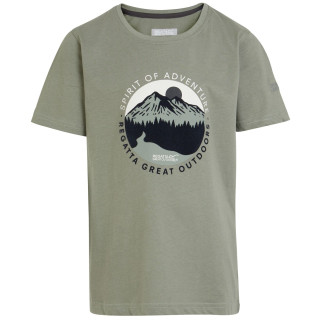 Camiseta para niños Regatta Bosley VII verde Agave Green