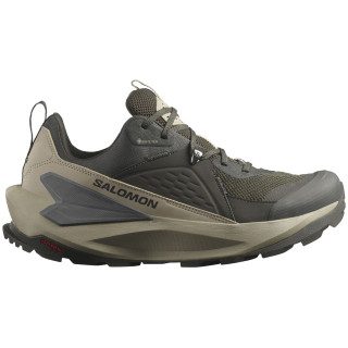 Calzado de hombre Salomon Elixir Gore-Tex