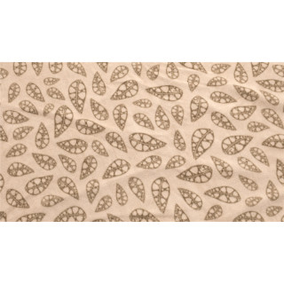 Alfombra Robens Fleece Carpet Chinook Ursa beige