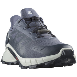 Zapatillas de carrera para hombre Salomon Supercross 4 Gore-Tex gris/blanco Grisaille / White / Carbon