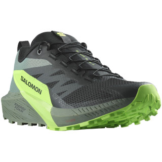 Zapatillas de carrera para hombre Salomon Sense Ride 5 negro/verde Black