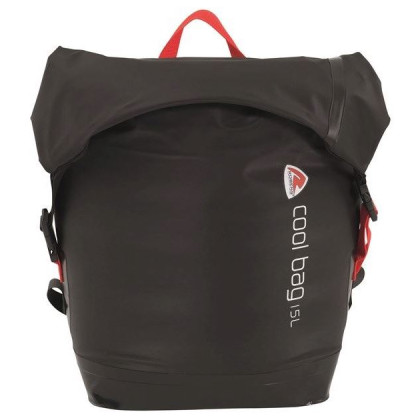 Bolsa refrigerante Robens Cool bag 15L negro