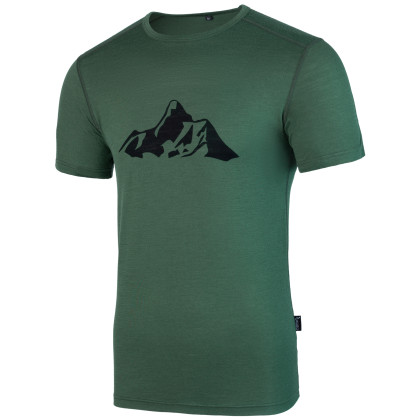 Camiseta de hombre Warg Merino Mountain 165 Short verde Green