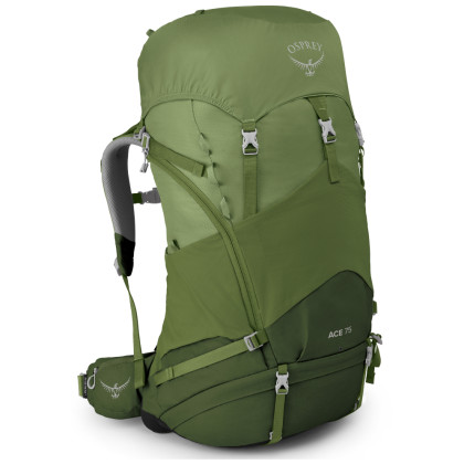 Mochila para niños Osprey ACE 75 II verde VentureGreen