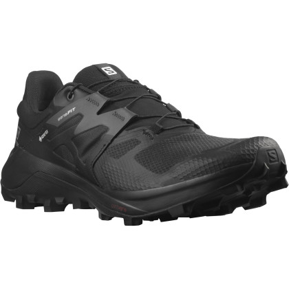 Calzado de hombre Salomon Wildcross 2 Gore-Tex negro Black(PantoneTapShoe)