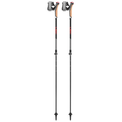 Bastones de caminata nórdica Leki Poles Instructor Lite negro/rojo dark anthracite-silvergray-bright red