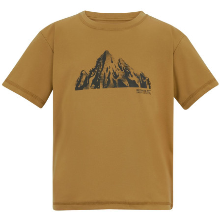 Camiseta para niños Regatta Alvarado Wood Brown marrón Wood Brown