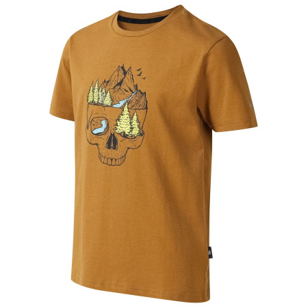 Camiseta para niños Dare 2b Trailbazer III Tee Dark Cumin