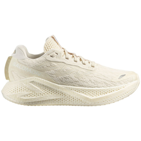 Calzado de mujer Salomon Aero Glide 4 beige Vanilla Ice / Vanilla Ice / White