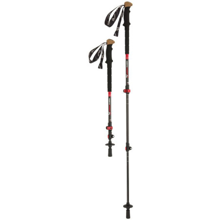 Bastones de senderismo Northfinder Summit negro Black